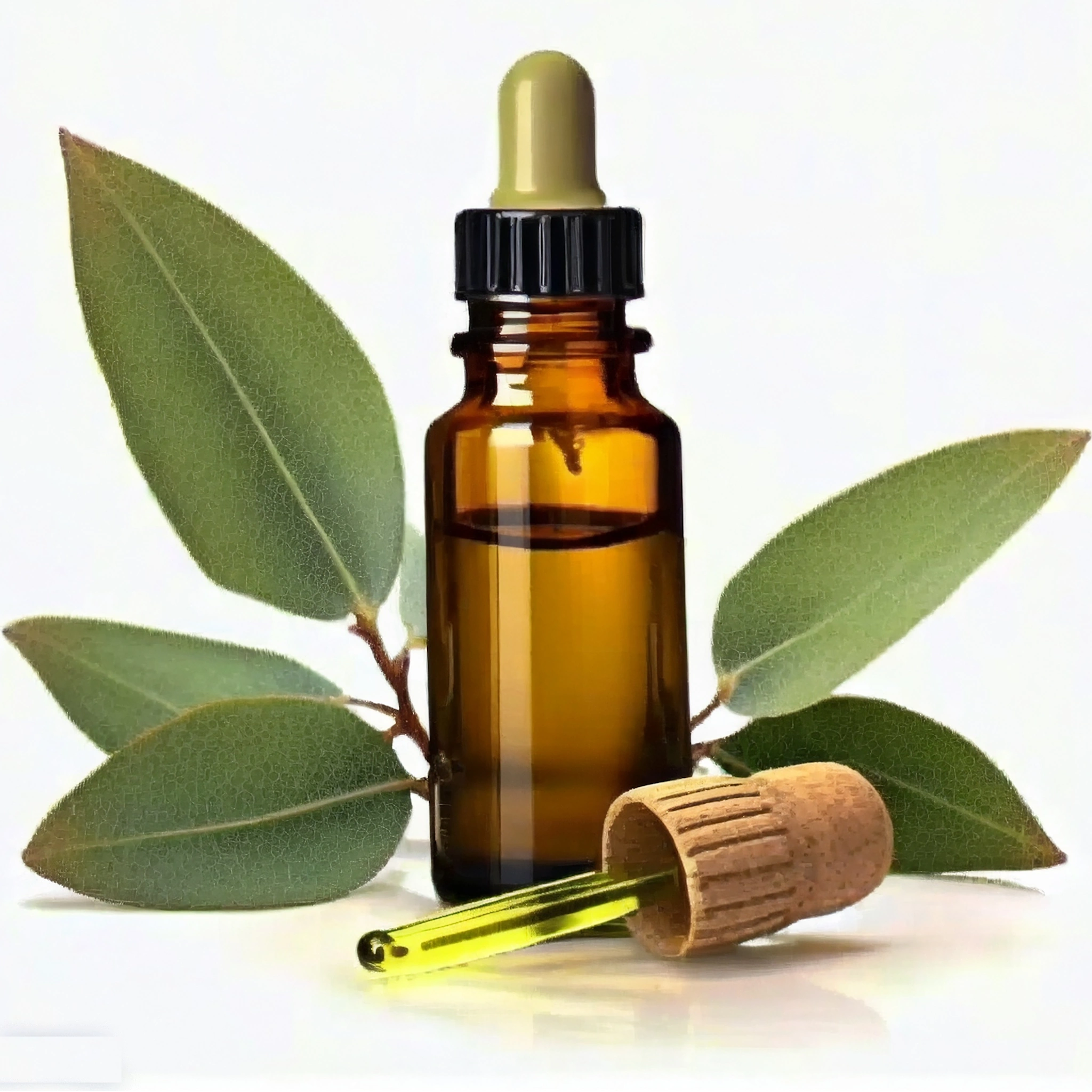 Eucalyptus Oil